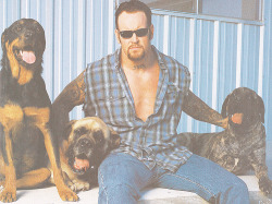 painsindicate:  The Undertaker with his dogs Thor, Zeus, and