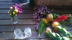swamp-flower:  James and I went flower picking this morning and