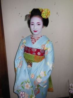 geisha-licious:  maiko Fukunae, Fukucho and Koyoshi before the