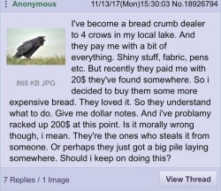 robinthemagicbirdprincess:  universaliststuff: Crows man. Gotta