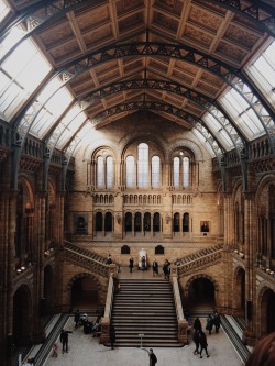 accarol: ​the natural history museum in London. 