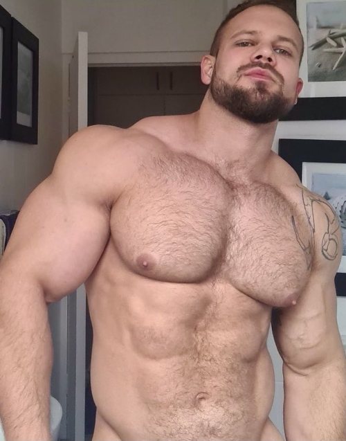 the-swole-strip:  https://the-swole-strip.tumblr.com/