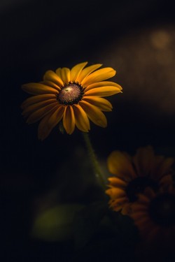 morethanphotography:  My Guiding Light by paulbarson 