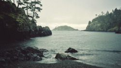 tearingdowndoors:  By tylerforesthauser 