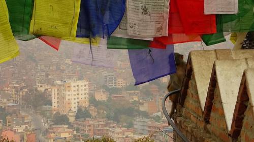 swayambhunath stupa  April 2016 Kathmandu, Nepal