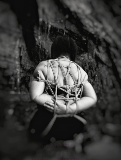 SHIBARI