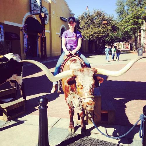 <p>Here’s a challenge for all our dear campers out there! Mikkell sent me this adorable picture of her wearing her FiddleStar camp shirt on a longhorn while on vacation in Texas and it got us thinking, where have you worn your Nashville Acoustic Camp (don’t forget FiddleStar and Songwriter Camps!) shirt? Is there photographic evidence? Share it! We love you all… #nashvilleacousticcamps #nashvilleflatpickcamp #nashvillemandolincamp #fiddlestar #nashvillesongwritercamp #nashvilleclawhammercamp #fiddlebanjocamp  (at Fiddlestar)</p>