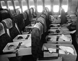 dormirever:  Babies are strapped into airplane seats enroute