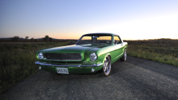 thingsdaveloves:  My 65 mustang