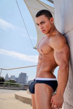 conpipki:  Just beautiful with a bulge to die for