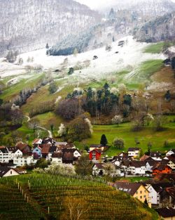 beatpie:  Liechtenstein by anastasia smanyuk  