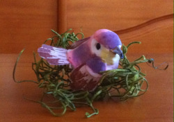My mom gave my little sister this decorative bird thing and she