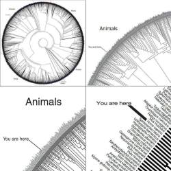 fyeahscienceteachers:  epistemologicalfallacy:  “Humans