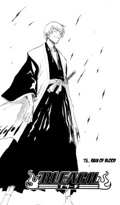 i don’t know when it became cool to hate on bleach, but