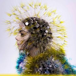 bjorkchile:björk por inez + vinoodh | vulnicura photoshoot