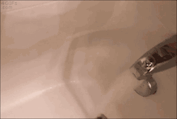 4gifs:  When you try to figure out someone’s shower. [video]