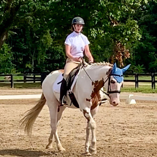 dressagecow:Zoom in. Enhance. Mustache.