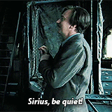ttonks:  harry potter meme: [6/10] characters: remus lupin 