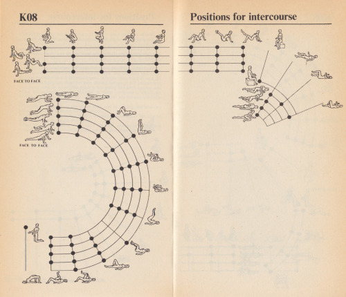 ‘Positions for intercourse’ diagram from Man’s Body: An Owner’s Manual, by the Diagram Group (Corgi, 1977). From a charity shop in Nottingham.