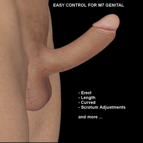 Some more Gen Control for Michael 7! This product contains several “Easy Control” Extensions for the Genesis 3 Male Genital / M7 Genital. This  product adds several dials to the genital figure’s parameters, like  Erect, Length, Curved,