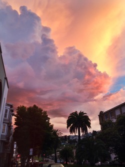 plantprincess:the sky in san francisco was amazing tonight
