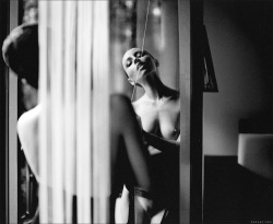 one of the best:©Ilya Rashapbest of Lingerie (and Photography):www.radical-lingerie.com