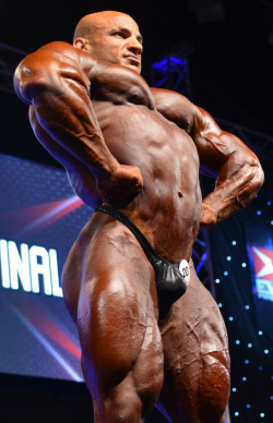 MUSCLEINGEAR