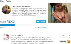 cattie-of-godsgirls:  Donate to my Breast Augmentation Fund!