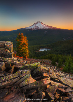 brutalgeneration:  A new start (by Dylan Toh)