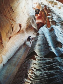 patagonia:  Canyoneering at Birch Hollow Canyon, Zion National