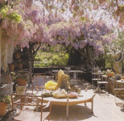 vintageimagecollection:  An arbor of wisteria offers shade and