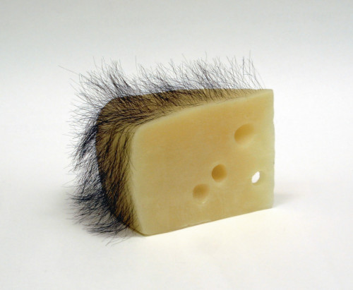 my-kelde: Robert Gober. Short Haired Cheese, 1992- 1993. beeswax,