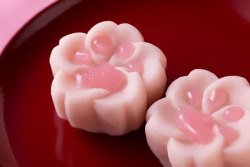 mayahan:  Adorable Japanese Sweets Too Cute To Eat 