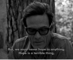 abouterleichda:  Pier Paolo Pasolini