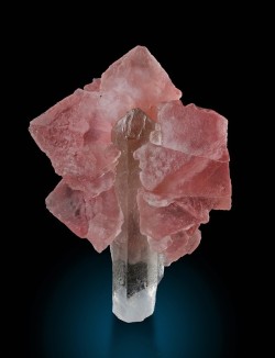 bijoux-et-mineraux:  Pink Fluorite and Smoky Quartz -  Les Droites,