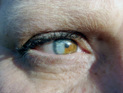 frolicingintheforest:  My Mom has an awesome eye!!! It’s nearly