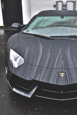 meoowbitchh:  Meoowbitchh.tumblr.com 