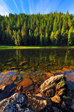 francesco-sidori:  the-forces-of-nature:  Selway River by schnitzerphoto