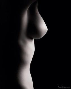 The Sexy Female Form