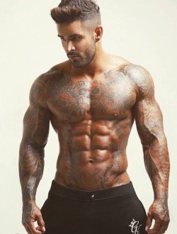 Adonis Files