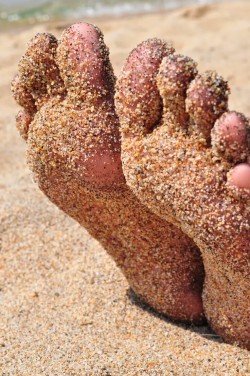 luvhertoes:  loiony:  Decided to post some sandy feet to remind