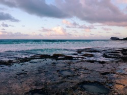 arjunaheim:  North Beach, Oahu [2014]