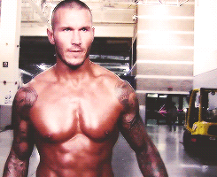 rwfan11:  Orton (*not my gif creations) 
