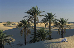 gloriousearth:  Praying in the desert, Grand Erg Oriental, Algeria