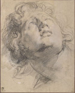 drawpaintprint:  Peter Paul Rubens (Flemish, 1577-1640). Study