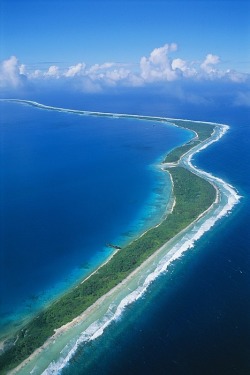 South Pacific dreamin’ [Jaluit Atoll is a cluster of 91 islets of the Marshall Islands in the southern Pacific Ocean located about halfway between Hawaii and Papua New Guinea. Its total land mass area is only 11.34 square kilometres (4.38 sq mi), but