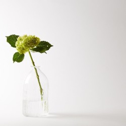 willhuntgoods:  Flower Vase #13 by Studio Prepa 