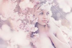 lifeandlovesofalexis:  Flowers by Max Weil 