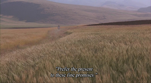 365filmsbyauroranocte:    The Wind Will Carry Us (Abbas Kiarostami,