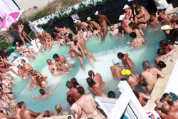 hornysurreyhusband:  corpas1:  The Nude Foam Parties in Cap d’Agde